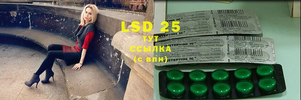 PSILOCYBIN Алексин