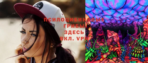 мдпв Абаза