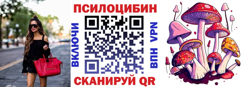 Псилоцибиновые грибы Psilocybe  Хасавюрт 