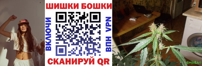 дарнет шоп  Хасавюрт  Бошки марихуана планчик 